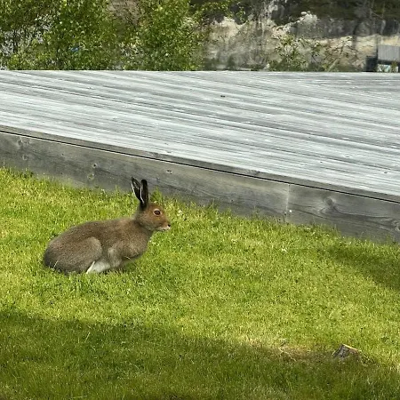 Сasa de vacaciones Flott Nyere I Sirdal Med Fantastisk Utsikt Og Solforhold
