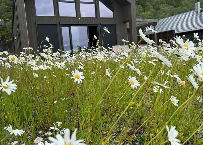 Semesterbostad Flott Nyere I Sirdal Med Fantastisk Utsikt Og Solforhold Haugen (Agder)