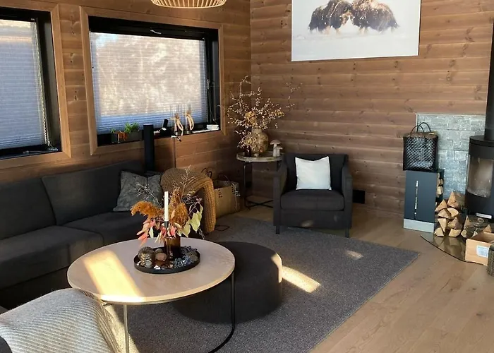 Flott Nyere I Sirdal Med Fantastisk Utsikt Og Solforhold Semesterbostad Haugen (Agder)