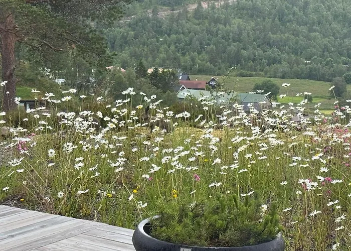 Flott Nyere I Sirdal Med Fantastisk Utsikt Og Solforhold Semesterbostad *